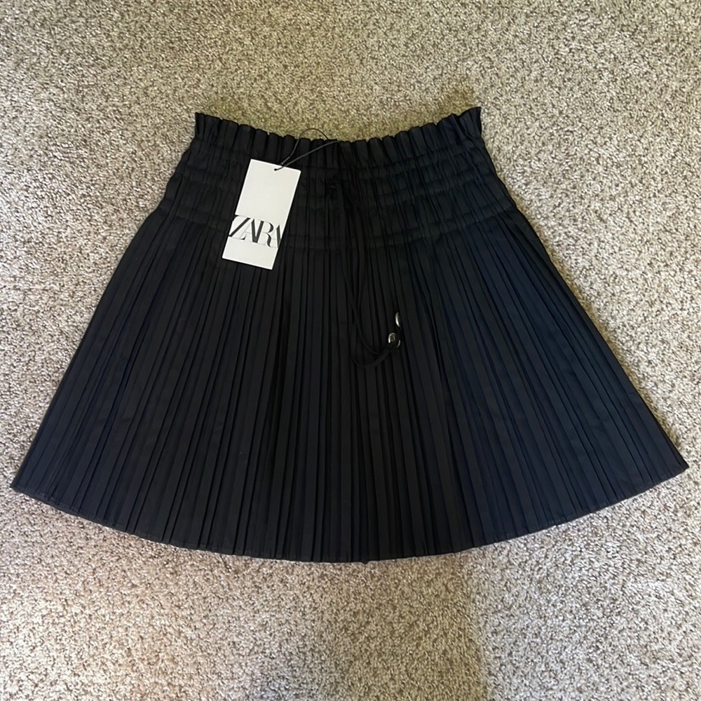 Zara Pleated Skirt